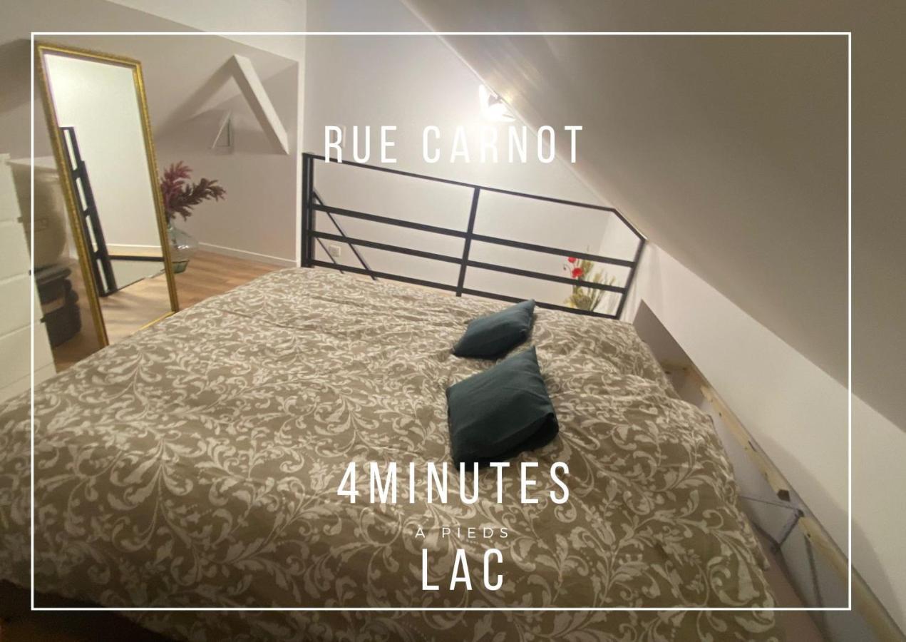안시 Rainbow, Rue Carnot 아파트 외부 사진